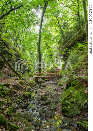 Beautiful green forest Hiking path with Sandstone chalk rock formations in Berdorf Mullerthal Luxembourg 130952593
