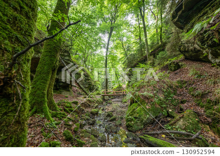 Beautiful green forest Hiking path with Sandstone chalk rock formations in Berdorf Mullerthal Luxembourg 130952594
