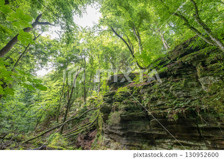Beautiful green forest Hiking path with Sandstone chalk rock formations in Berdorf Mullerthal Luxembourg Beautiful green forest Hiking path with Sandstone chalk rock formations in Berdorf Mullerthal Luxembourg 130952600