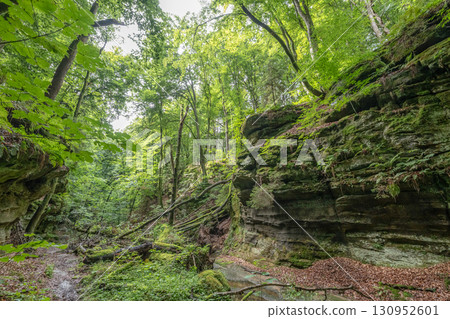 Beautiful green forest Hiking path with Sandstone chalk rock formations in Berdorf Mullerthal Luxembourg 130952601