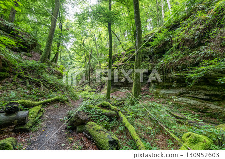 Beautiful green forest Hiking path with Sandstone chalk rock formations in Berdorf Mullerthal Luxembourg 130952603