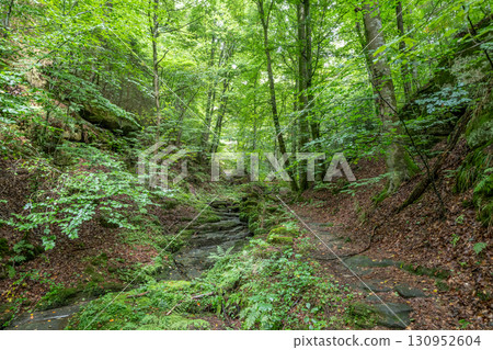 Beautiful green forest Hiking path with Sandstone chalk rock formations in Berdorf Mullerthal Luxembourg 130952604