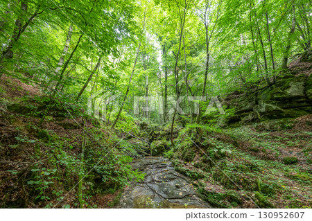 Beautiful green forest Hiking path with Sandstone chalk rock formations in Berdorf Mullerthal Luxembourg 130952607