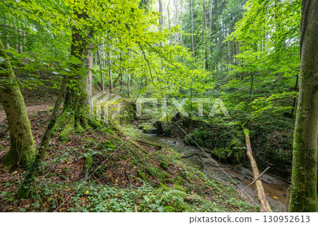 Beautiful green forest Hiking path with Sandstone chalk rock formations in Berdorf Mullerthal Luxembourg 130952613
