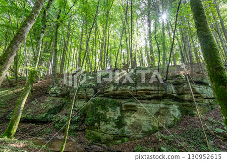 Beautiful green forest Hiking path with Sandstone chalk rock formations in Berdorf Mullerthal Luxembourg 130952615