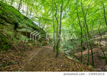 Beautiful green forest Hiking path with Sandstone chalk rock formations in Berdorf Mullerthal Luxembourg 130952619