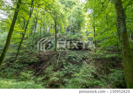 Beautiful green forest Hiking path with Sandstone chalk rock formations in Berdorf Mullerthal Luxembourg 130952620