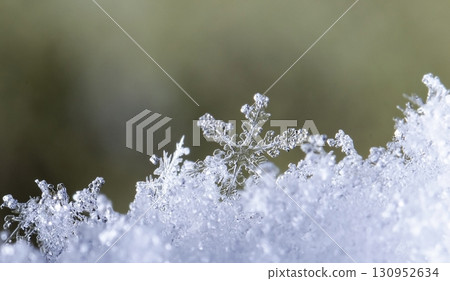 snowflakes, winter card, crystals of snow snowflakes, winter card, crystals of snow 130952634