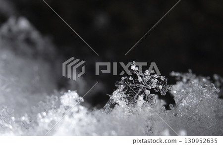 snowflakes, winter card, crystals of snow snowflakes, winter card, crystals of snow 130952635