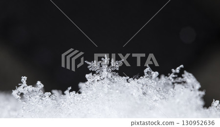 snowflakes, winter card, crystals of snow snowflakes, winter card, crystals of snow 130952636