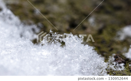 snowflakes, winter card, crystals of snow snowflakes, winter card, crystals of snow 130952644