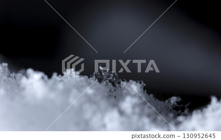 snowflakes, winter card, crystals of snow snowflakes, winter card, crystals of snow 130952645