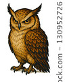 A glare owl 130952726