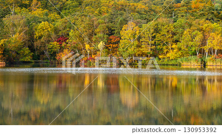 Autumn in Hachimantai, a beautiful morning at Lake Onuma, Akita Prefecture Autumn in Hachimantai, a beautiful morning at Lake Onuma, Akita Prefecture 130953392