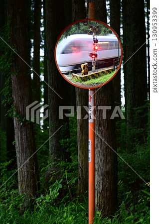 Spacia X speeding through a railroad crossing in the forest 130953399
