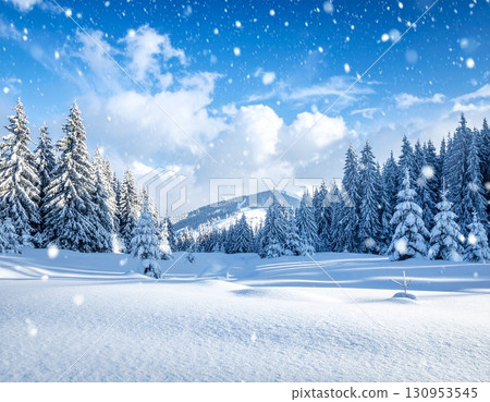 白雪覆蓋的森林，雪原插圖 130953545