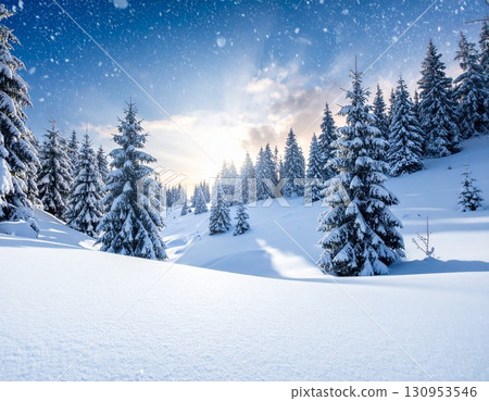 白雪覆蓋的森林，雪原插圖 130953546