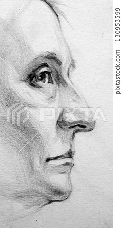 pencil drawing illustration, portrait, sketch 130953599