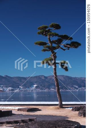 隆冬的諏訪湖-從湖濱公園的足浴池眺望孤松 隆冬的諏訪湖-從湖濱公園的足浴池眺望孤松 130954076