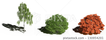 large tree with a shadow under it, isolated on a transparent background, 3D illustration, cg render 130954201