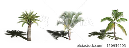 large tree with a shadow under it, isolated on a transparent background, 3D illustration, cg render large tree with a shadow under it, isolated on a transparent background, 3D illustration, cg render 130954203