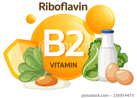 Vitamin B2 Riboflavin Sources with Dairy and Vegetables 130954473