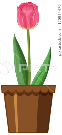Pink Tulip in Brown Pot Vector Illustration Pink Tulip in Brown Pot Vector Illustration 130954476
