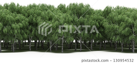 tree, isolated, branch, large, nature, plant, background, garden, forest, stem, summer, transparent, green, environment, foliage, shadow, big, leaf, season, wood, object, natural, single, silhouette, tree, isolated, branch, large, nature, plant, background, garden, forest, stem, summer, transparent, green, environment, foliage, shadow, big, leaf, season, wood, object, natural, single, silhouette, 130954532