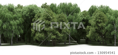 tree, isolated, branch, large, nature, plant, background, garden, forest, stem, summer, transparent, green, environment,  foliage, shadow, big, leaf, season, wood, object, natural, single, silhouette, 130954541