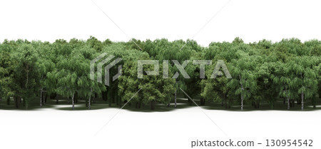 tree, isolated, branch, large, nature, plant, background, garden, forest, stem, summer, transparent, green, environment,  foliage, shadow, big, leaf, season, wood, object, natural, single, silhouette, 130954542