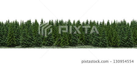 tree, isolated, branch, large, nature, plant, background, garden, forest, stem, summer, transparent, green, environment, foliage, shadow, big, leaf, season, wood, object, natural, single, silhouette, tree, isolated, branch, large, nature, plant, background, garden, forest, stem, summer, transparent, green, environment, foliage, shadow, big, leaf, season, wood, object, natural, single, silhouette, 130954554