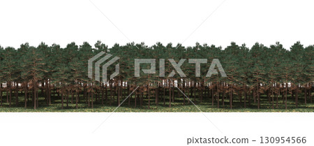tree, isolated, branch, large, nature, plant, background, garden, forest, stem, summer, transparent, green, environment,  foliage, shadow, big, leaf, season, wood, object, natural, single, silhouette, 130954566