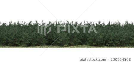 tree, isolated, branch, large, nature, plant, background, garden, forest, stem, summer, transparent, green, environment,  foliage, shadow, big, leaf, season, wood, object, natural, single, silhouette, 130954568