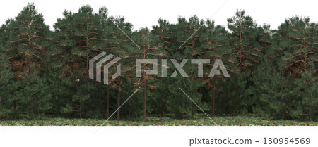 tree, isolated, branch, large, nature, plant, background, garden, forest, stem, summer, transparent, green, environment, foliage, shadow, big, leaf, season, wood, object, natural, single, silhouette, tree, isolated, branch, large, nature, plant, background, garden, forest, stem, summer, transparent, green, environment, foliage, shadow, big, leaf, season, wood, object, natural, single, silhouette, 130954569