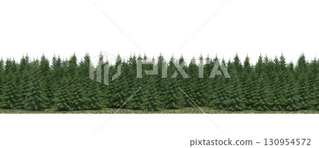 tree, isolated, branch, large, nature, plant, background, garden, forest, stem, summer, transparent, green, environment,  foliage, shadow, big, leaf, season, wood, object, natural, single, silhouette, 130954572