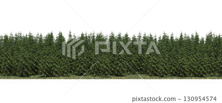 tree, isolated, branch, large, nature, plant, background, garden, forest, stem, summer, transparent, green, environment,  foliage, shadow, big, leaf, season, wood, object, natural, single, silhouette, 130954574