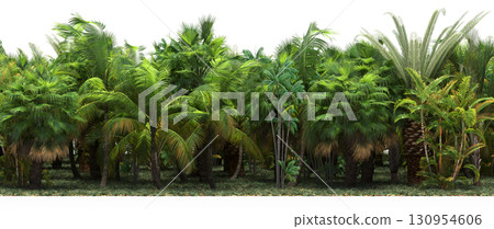 tree, isolated, branch, large, nature, plant, background, garden, forest, stem, summer, transparent, green, environment,  foliage, shadow, big, leaf, season, wood, object, natural, single, silhouette, 130954606