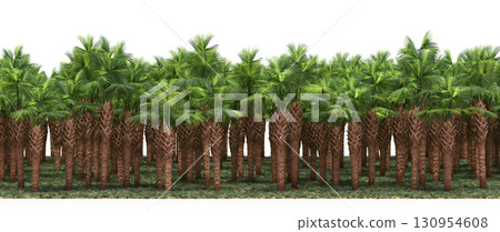 tree, isolated, branch, large, nature, plant, background, garden, forest, stem, summer, transparent, green, environment, foliage, shadow, big, leaf, season, wood, object, natural, single, silhouette, tree, isolated, branch, large, nature, plant, background, garden, forest, stem, summer, transparent, green, environment, foliage, shadow, big, leaf, season, wood, object, natural, single, silhouette, 130954608