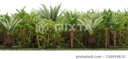 tree, isolated, branch, large, nature, plant, background, garden, forest, stem, summer, transparent, green, environment, foliage, shadow, big, leaf, season, wood, object, natural, single, silhouette, tree, isolated, branch, large, nature, plant, background, garden, forest, stem, summer, transparent, green, environment, foliage, shadow, big, leaf, season, wood, object, natural, single, silhouette, 130954610
