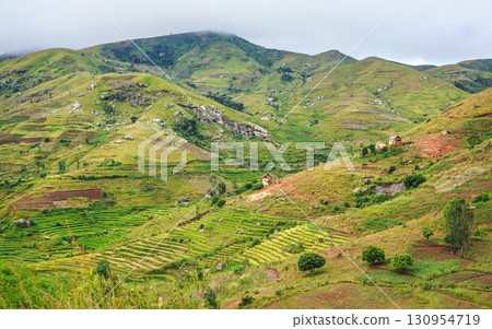 Typical Madagascar landscape - green and yellow rice terrace fields on small hills with clay houses in Andringitra region near Sendrisoa 130954719
