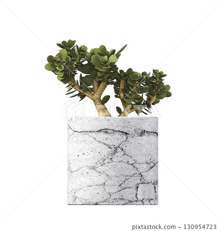 decorative flower in a pot isolate on a transparent background, 3D illustration, cg render 130954723