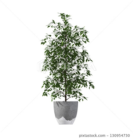decorative flower in a pot isolate on a transparent background, 3D illustration, cg render 130954730