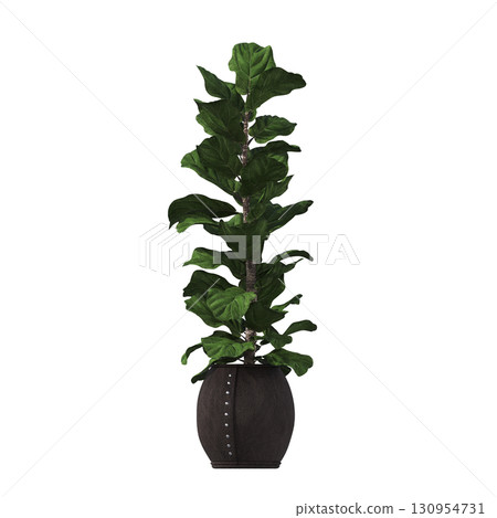 decorative flower in a pot isolate on a transparent background, 3D illustration, cg render decorative flower in a pot isolate on a transparent background, 3D illustration, cg render 130954731