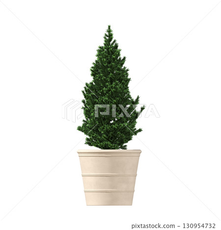 decorative flower in a pot isolate on a transparent background, 3D illustration, cg render decorative flower in a pot isolate on a transparent background, 3D illustration, cg render 130954732