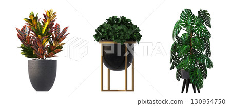 decorative flower in a pot isolate on a transparent background, 3D illustration, cg render 130954750
