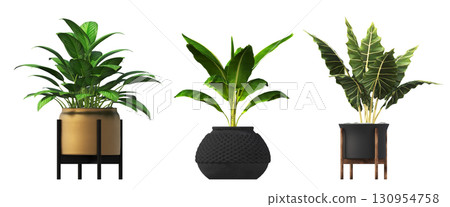 decorative flower in a pot isolate on a transparent background, 3D illustration, cg render decorative flower in a pot isolate on a transparent background, 3D illustration, cg render 130954758