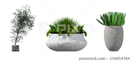 decorative flower in a pot isolate on a transparent background, 3D illustration, cg render 130954764