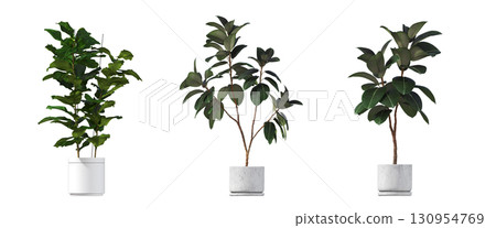 decorative flower in a pot isolate on a transparent background, 3D illustration, cg render decorative flower in a pot isolate on a transparent background, 3D illustration, cg render 130954769
