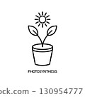 Photosynthesis outline icon. Thin line icon from education collection. 130954777