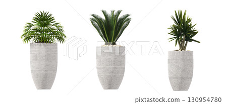 decorative flower in a pot isolate on a transparent background, 3D illustration, cg render 130954780
